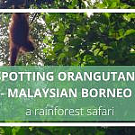 Travel to Malaysian Borneo and Visit Uncle Tan's Wildlife Adventures