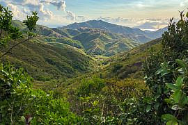 Pineapple Mountain 屯門大峽谷 Castle Peak Basin