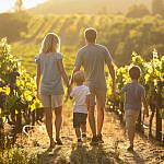 family vineyard tour