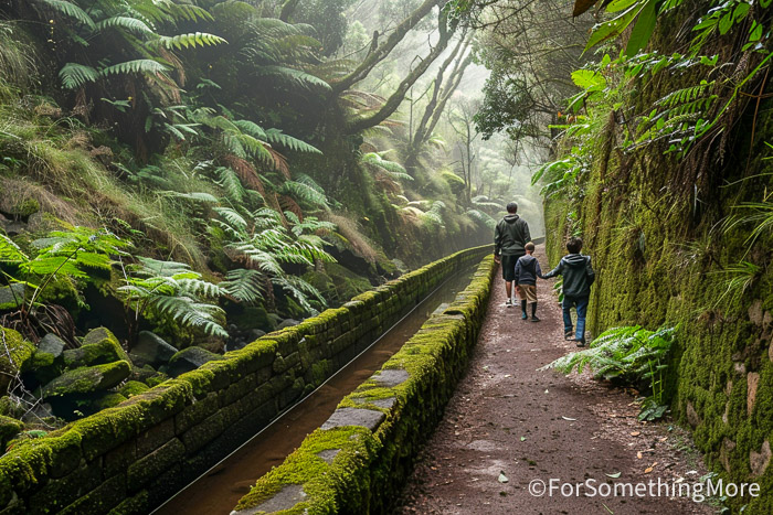 Family hiking a levada trail near Ribeiro Frio in Madeira, Portugal.

